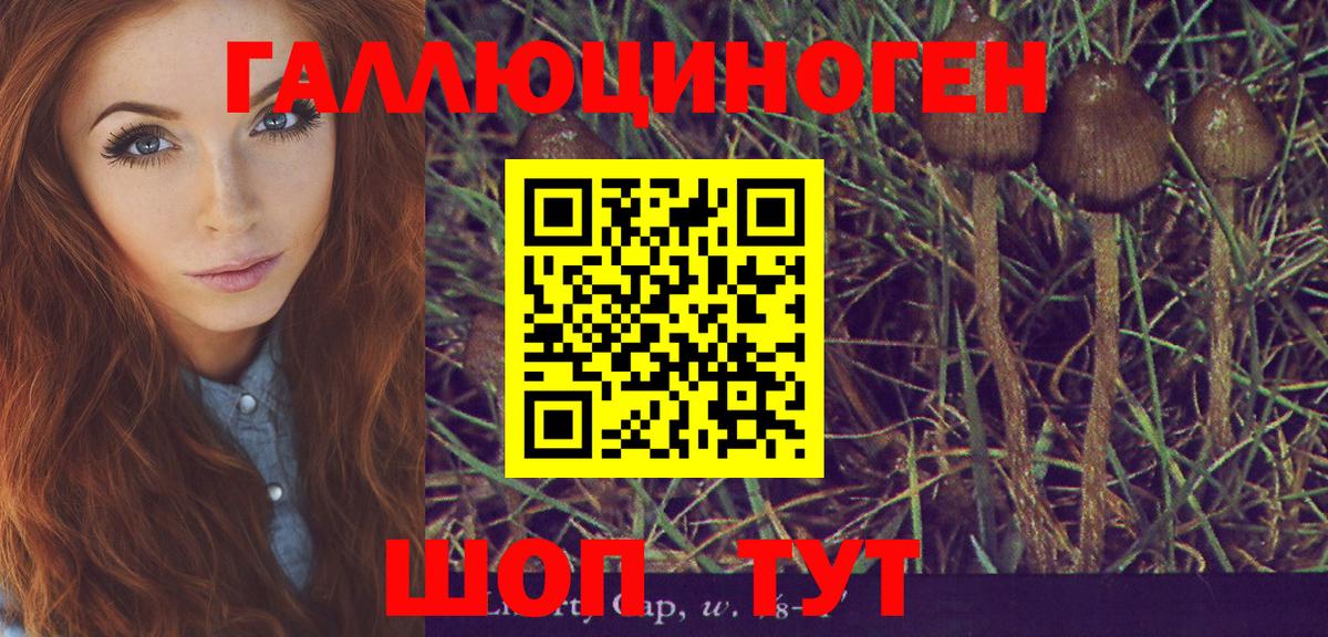 Галлюциногенные грибы ЛСД  Вход с VPN  Рославль  Псилоцибиновые грибы ЛСД 